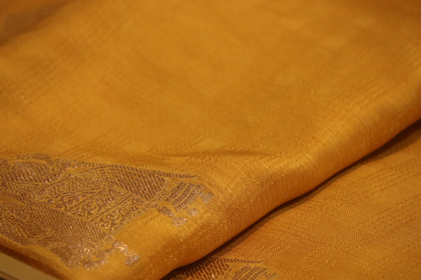 Mustard Saree