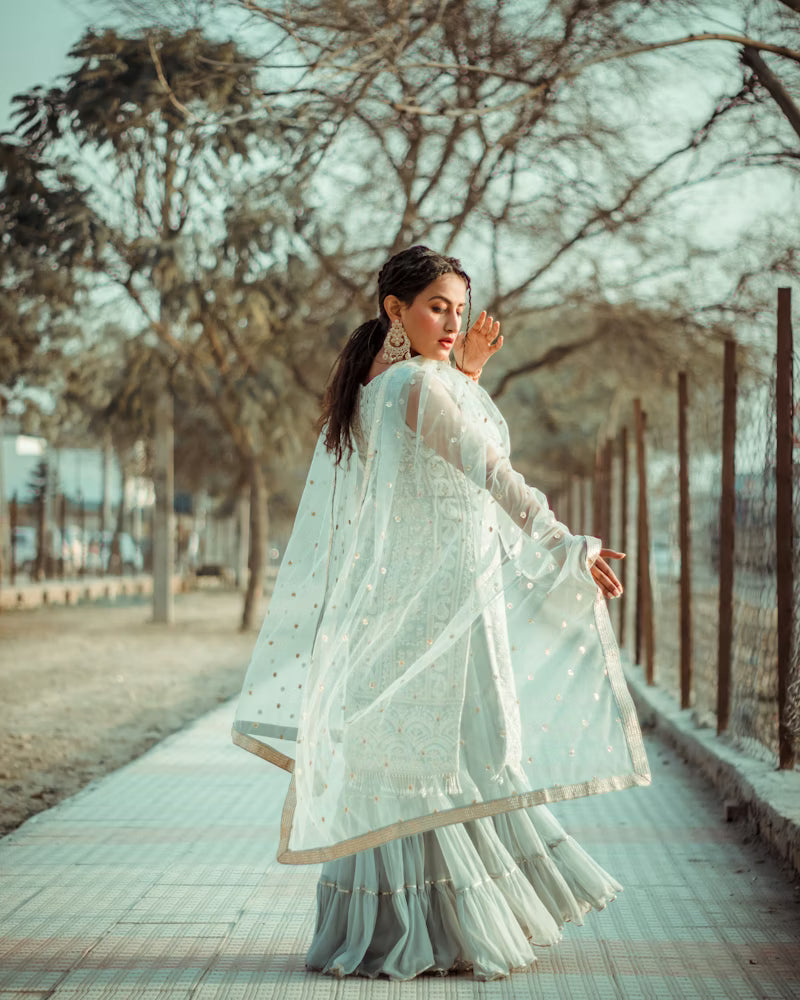 Banarasi Brocades